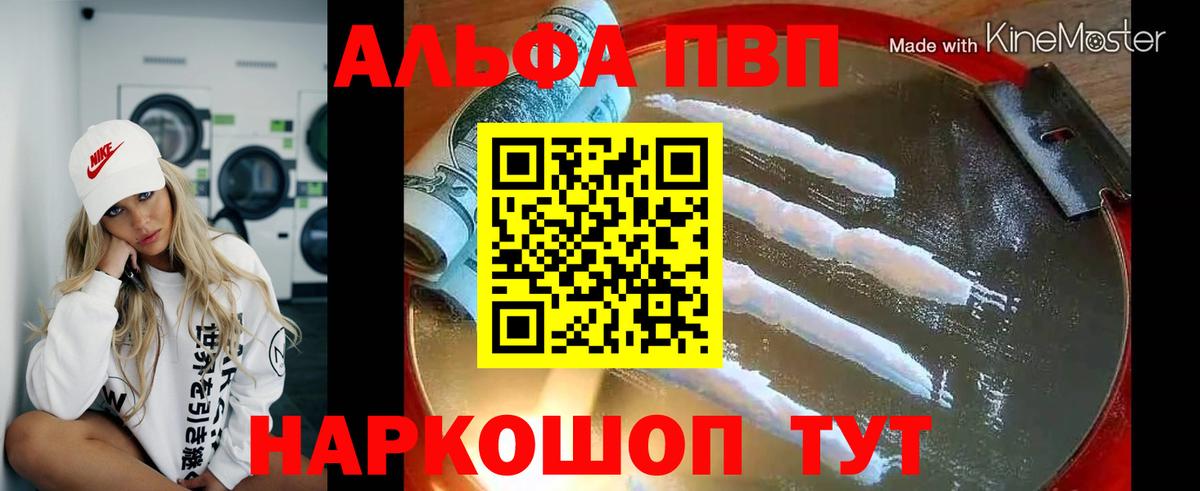 A PVP СК Шадринск