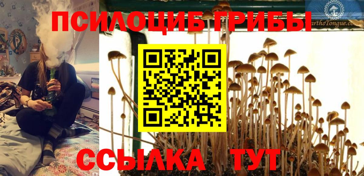 Галлюциногенные грибы Cubensis  Вход с VPN  Шадринск 