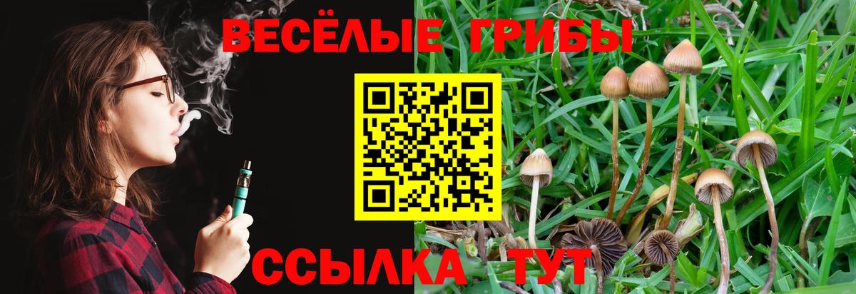 Псилоцибиновые грибы Psilocybe Шадринск